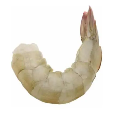 Pelado sin desvenar — Con cola.