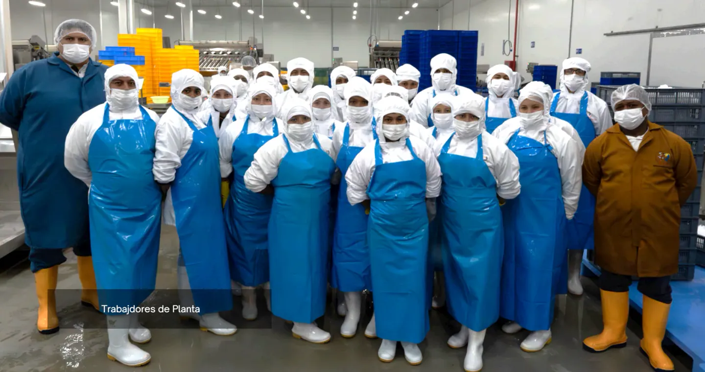 Equipo de planta de Ecuamarisco