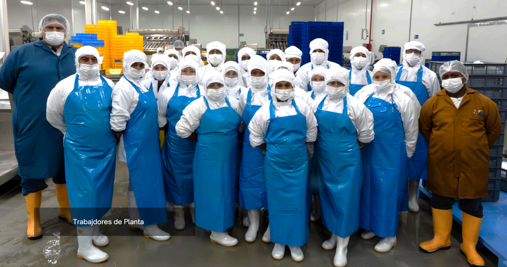 trabajadores2